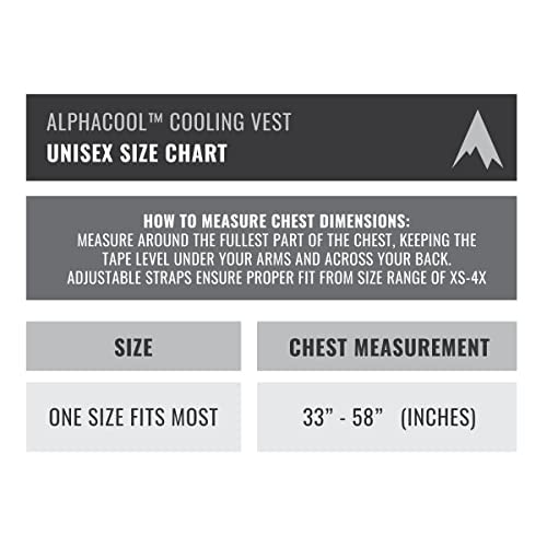 Frosty Mesh Ice Vest for Men and Women ?C Cooling Vest with Ice Packs, 2 Sets ?C Three Gel Pad Pockets ?C Adjustable Straps for